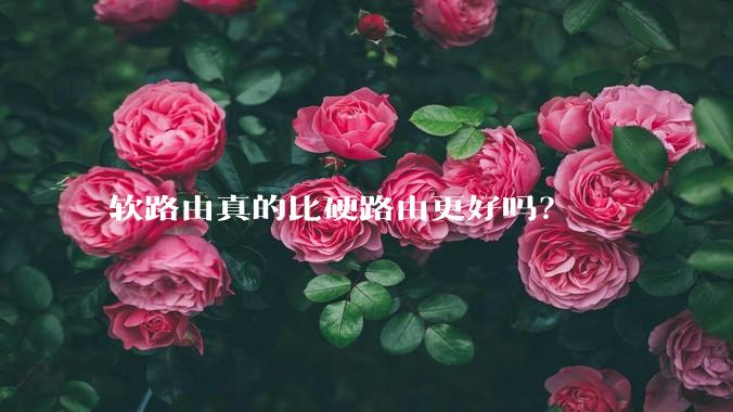 软路由真的比硬路由更好吗？