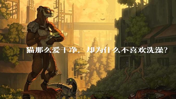 猫那么爱干净，却为什么不喜欢洗澡？