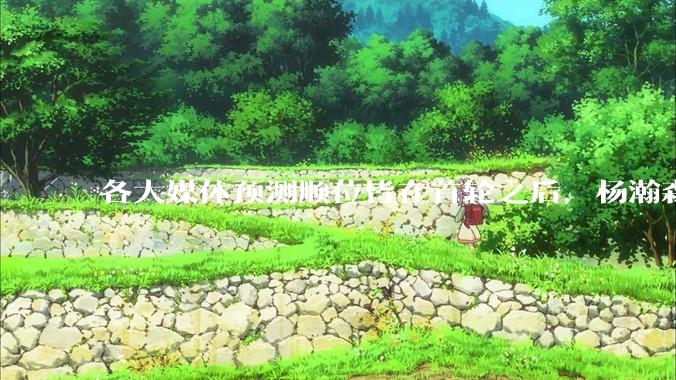 各大媒体预测顺位皆在首轮之后，杨瀚森实际顺位大涨是因为什么？