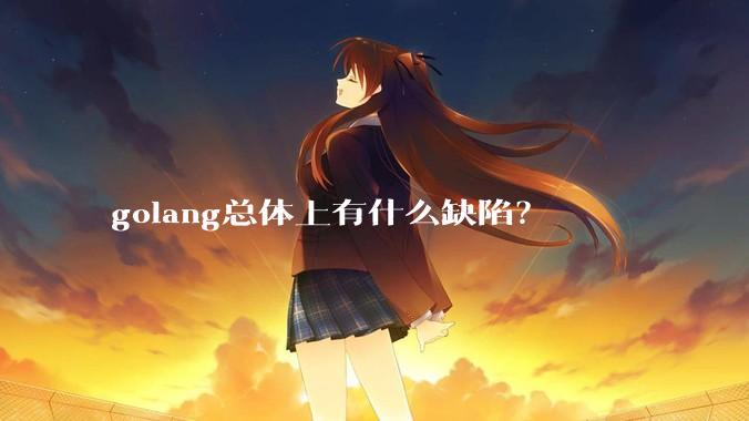 golang总体上有什么缺陷？