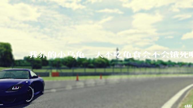 我养的小乌龟一天不吃龟食会不会饿死呢？