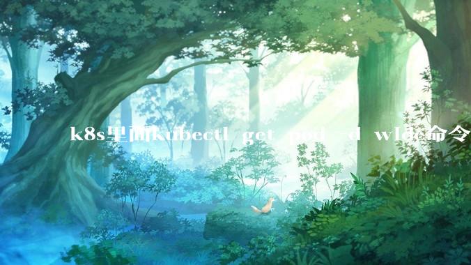 k8s里面kubectl get pod -d wide命令作用是什么？