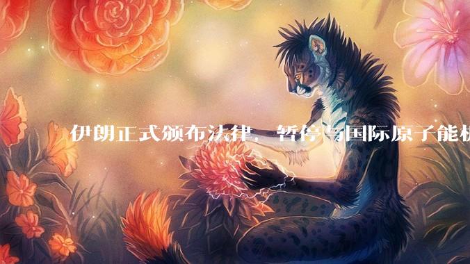 伊朗正式颁布法律，暂停与国际原子能机构合作，这意味着什么？