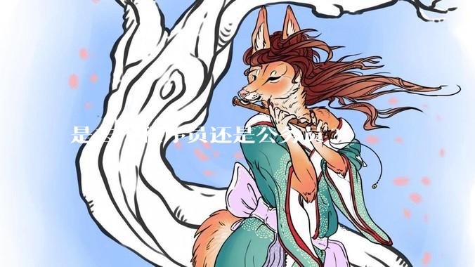 是去干程序员还是公务员?