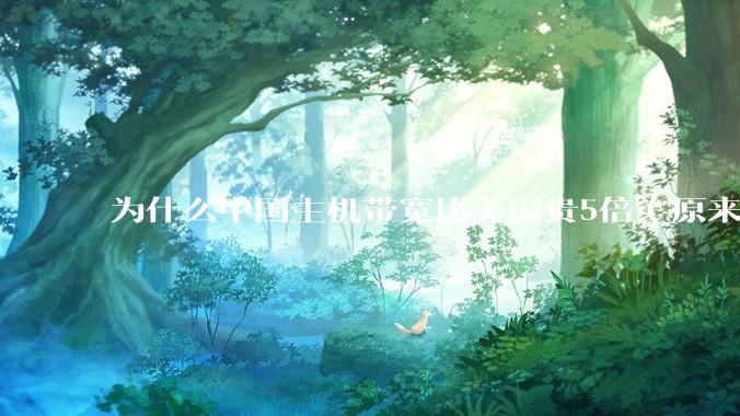 为什么中国主机带宽比美国贵5倍（原来错误的10000倍），比如阿里云？