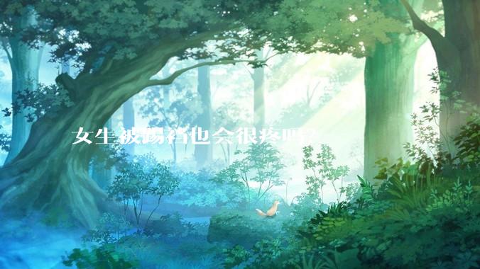 女生被踢裆也会很疼吗？