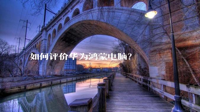 如何评价华为鸿蒙电脑？