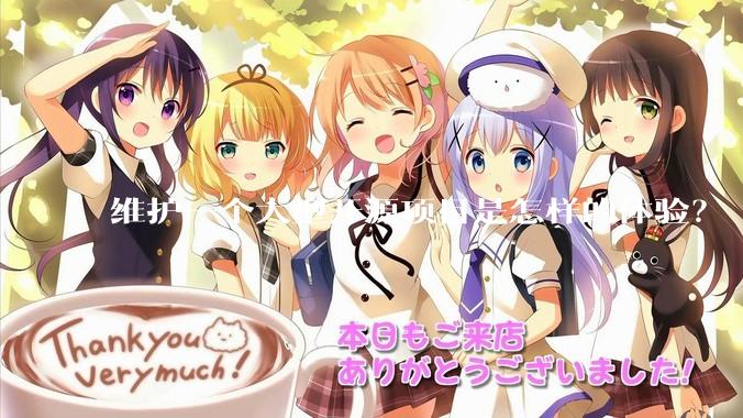 维护一个大型开源项目是怎样的体验？