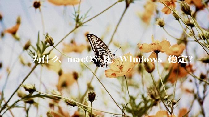 为什么 macOS 比 Windows 稳定？