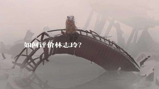 如何评价林志玲？