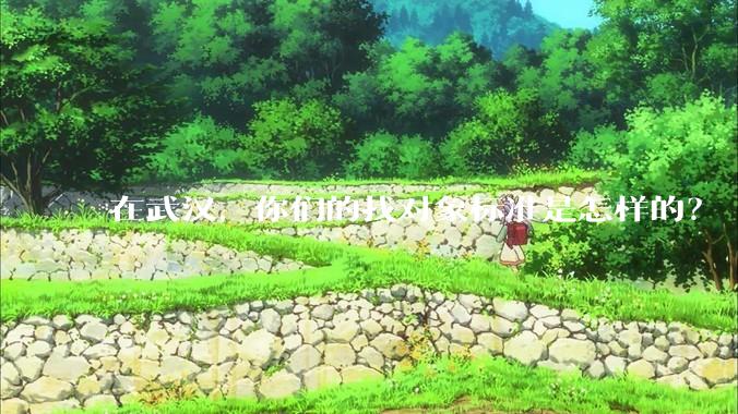 在武汉，你们的找对象标准是怎样的？