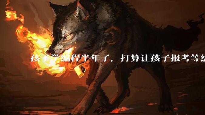 孩子学编程半年了，打算让孩子报考等级考试，大家觉得等级考试证书有用吗？